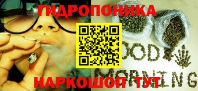 крисы Пугачёв