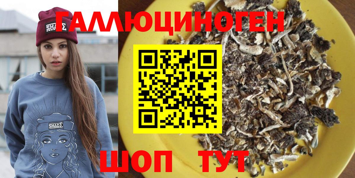 Галлюциногенные грибы MAGIC MUSHROOMS  Вход с VPN  купить закладку  Симферополь  Псилоцибиновые грибы прущие грибы 